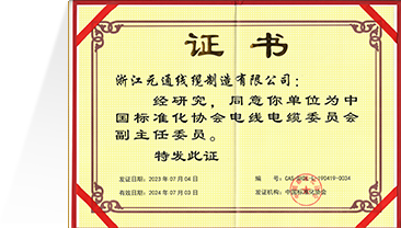 24. 中国标准化协会电线电缆委员会副主任委员