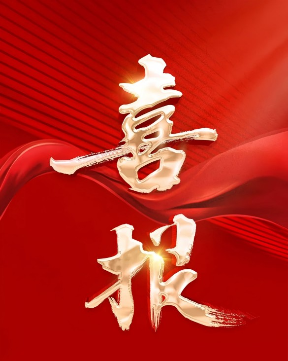 Good News | Project by Zhongda Yuantong Cable Wins Provincial Science and Technology Progress Second Prize, Leading the Development of New Quality Productive Forces in the Cable Industry
