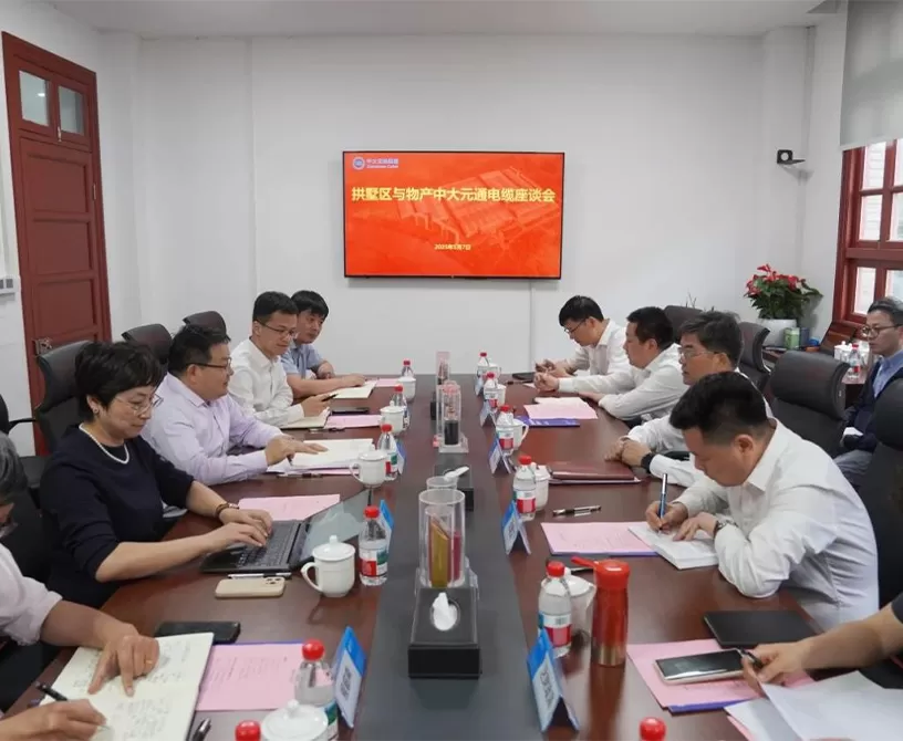 Government and Enterprises Join Hands to Chart a New Chapter | Government-Enterprise Symposium Injects Strong Momentum into Zhejiang Zetastone Wire & Cable's Development
