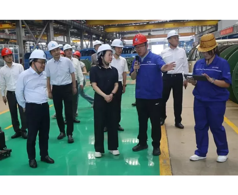 Yu Can, Secretary of the Discipline Inspection Commission of Wuchan Zhongda Group, Leads a Delegation to Zetastone Cable's Deqing Intelligent Manufacturing Base for Research and Guidance